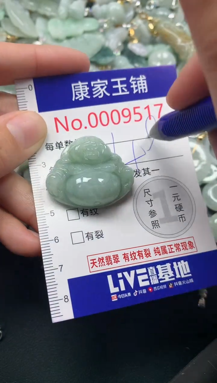 颈饰未镶嵌翡翠9517