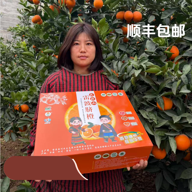 雷波脐橙【 礼盒款】【 顺丰包邮】带箱8斤12枚果脐橙之乡现摘现发