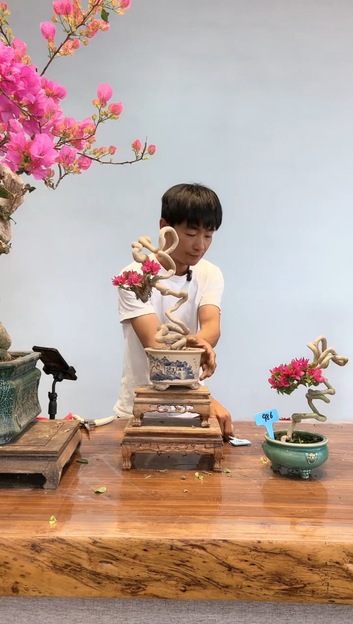 【闪购商品】aa987