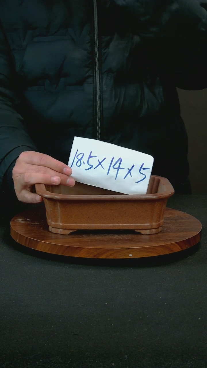 【闪购商品】紫砂R14