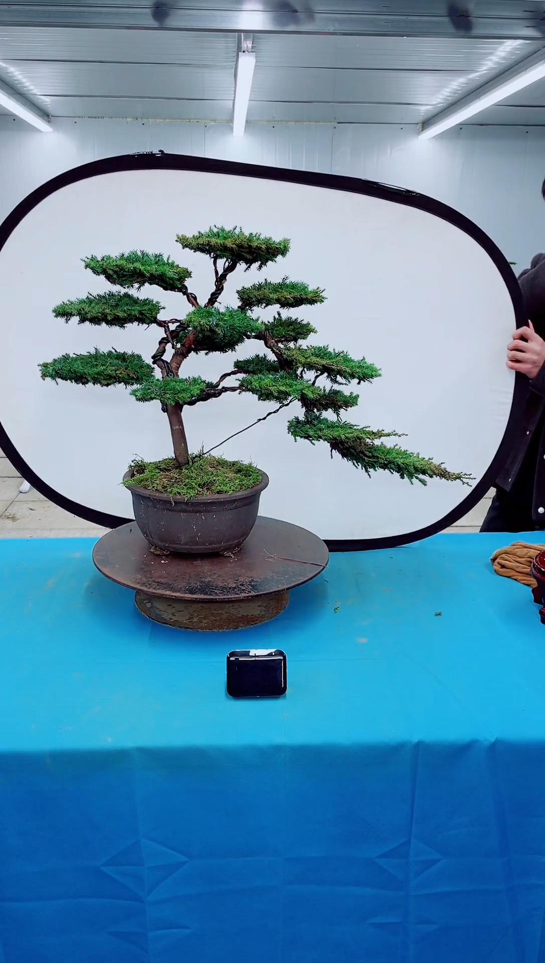 无花朵0000000000000