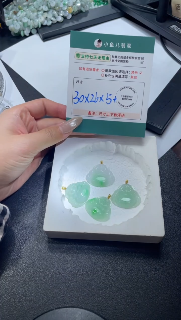 18K金镶嵌挂件翡翠FL122522/多样性发一件