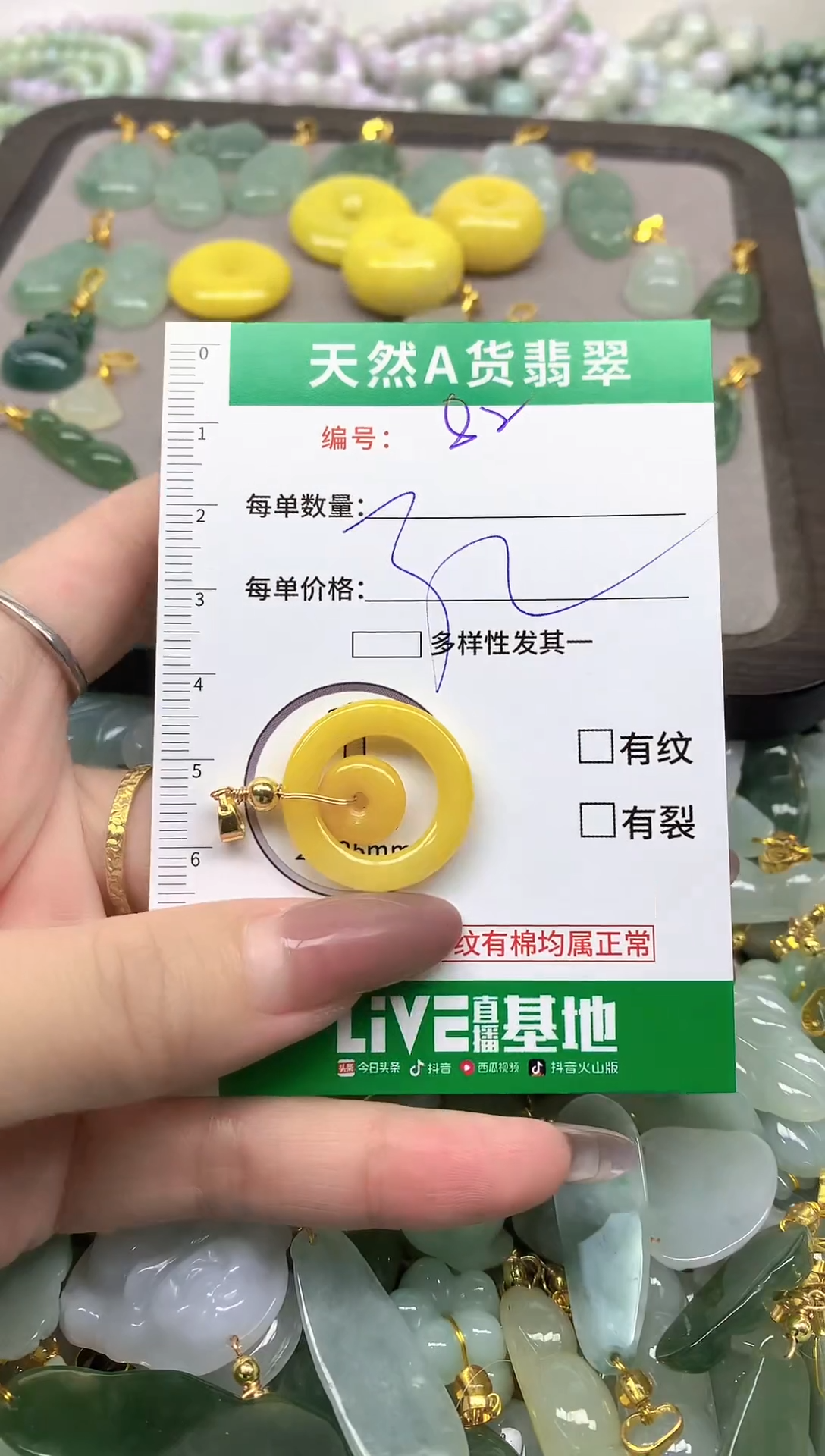 颈饰未镶嵌翡翠纯天然缅甸A货翡翠-82