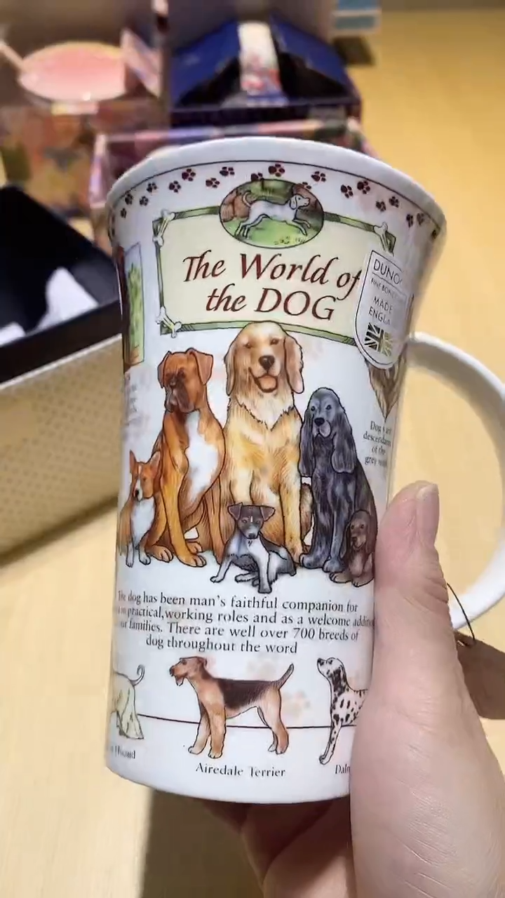 【闪购商品】瓷片锅碗瓢盆一件不剩