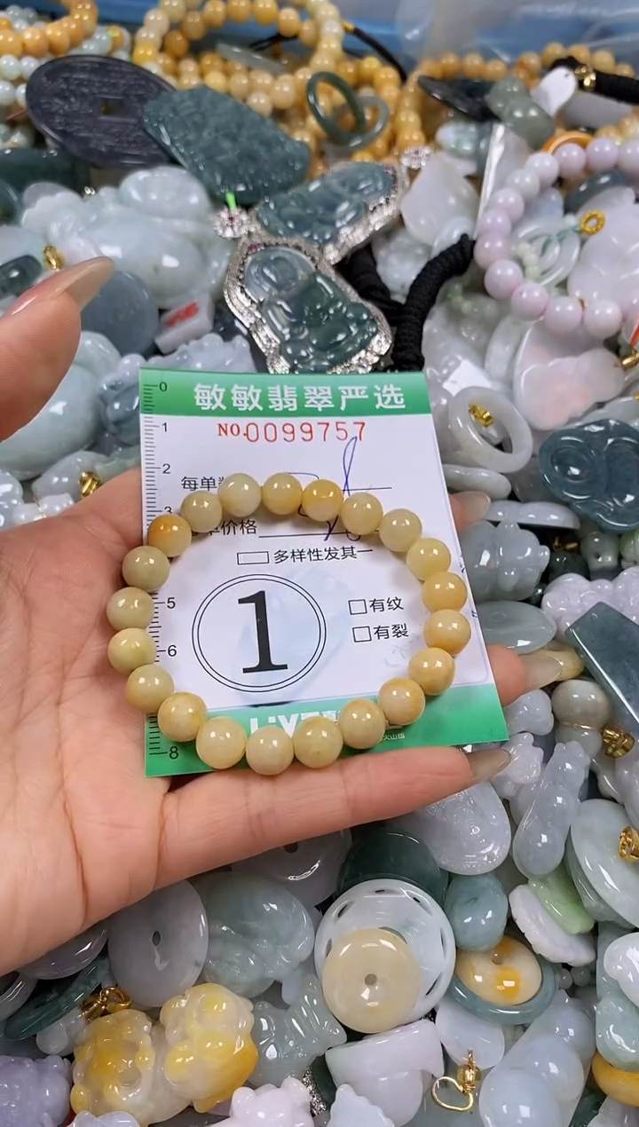 【闪购商品】翡翠颈饰未镶嵌闪购0099757