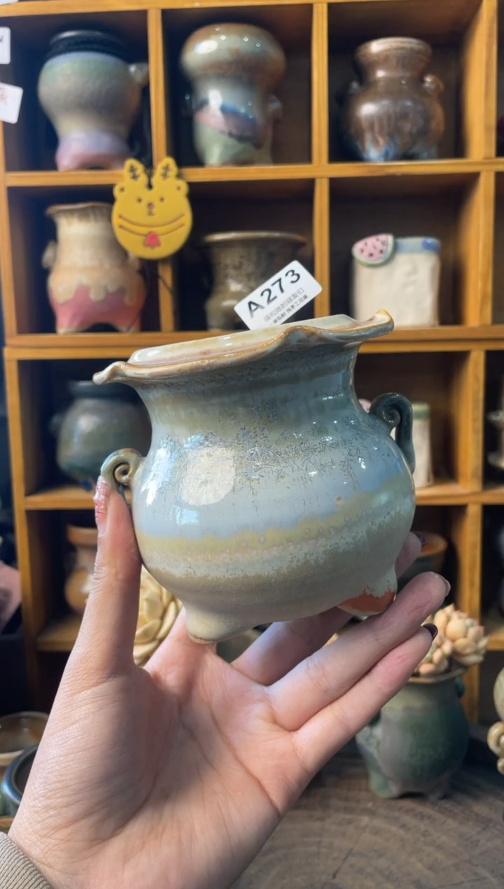 273内口6【多肉花盆多肉盆】