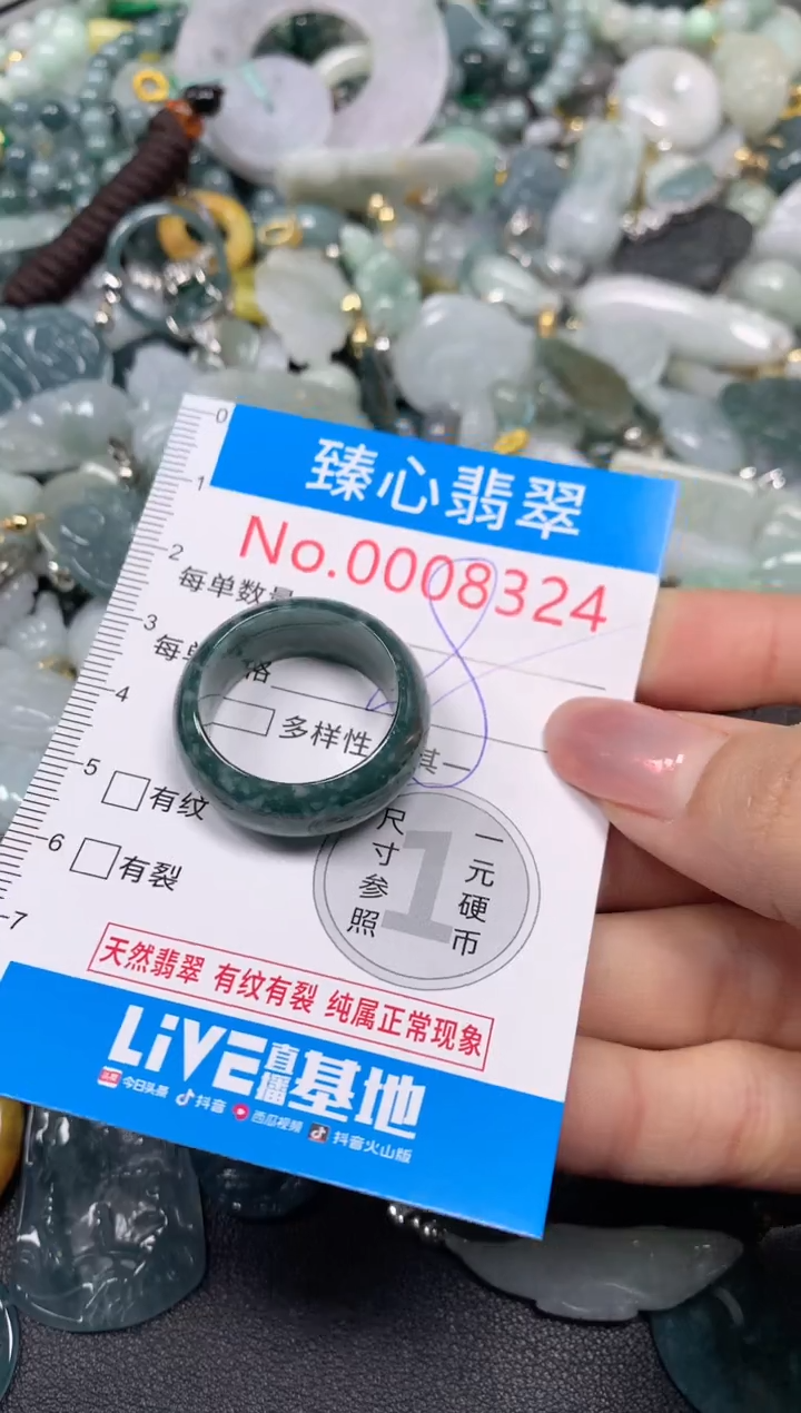 【闪购商品】翡翠颈饰未镶嵌含绳0008324