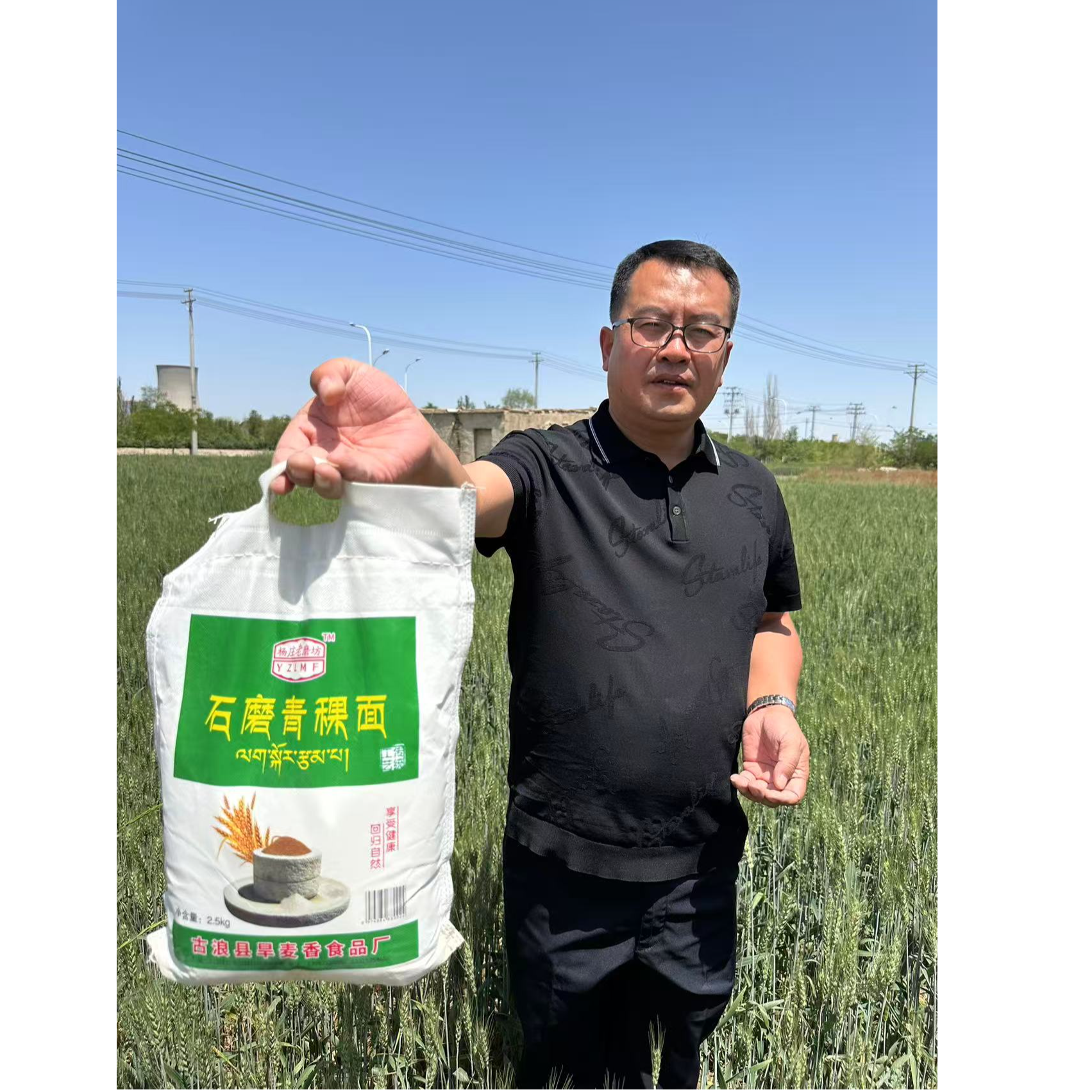 石磨青稞面  古浪旱麦 享受自然