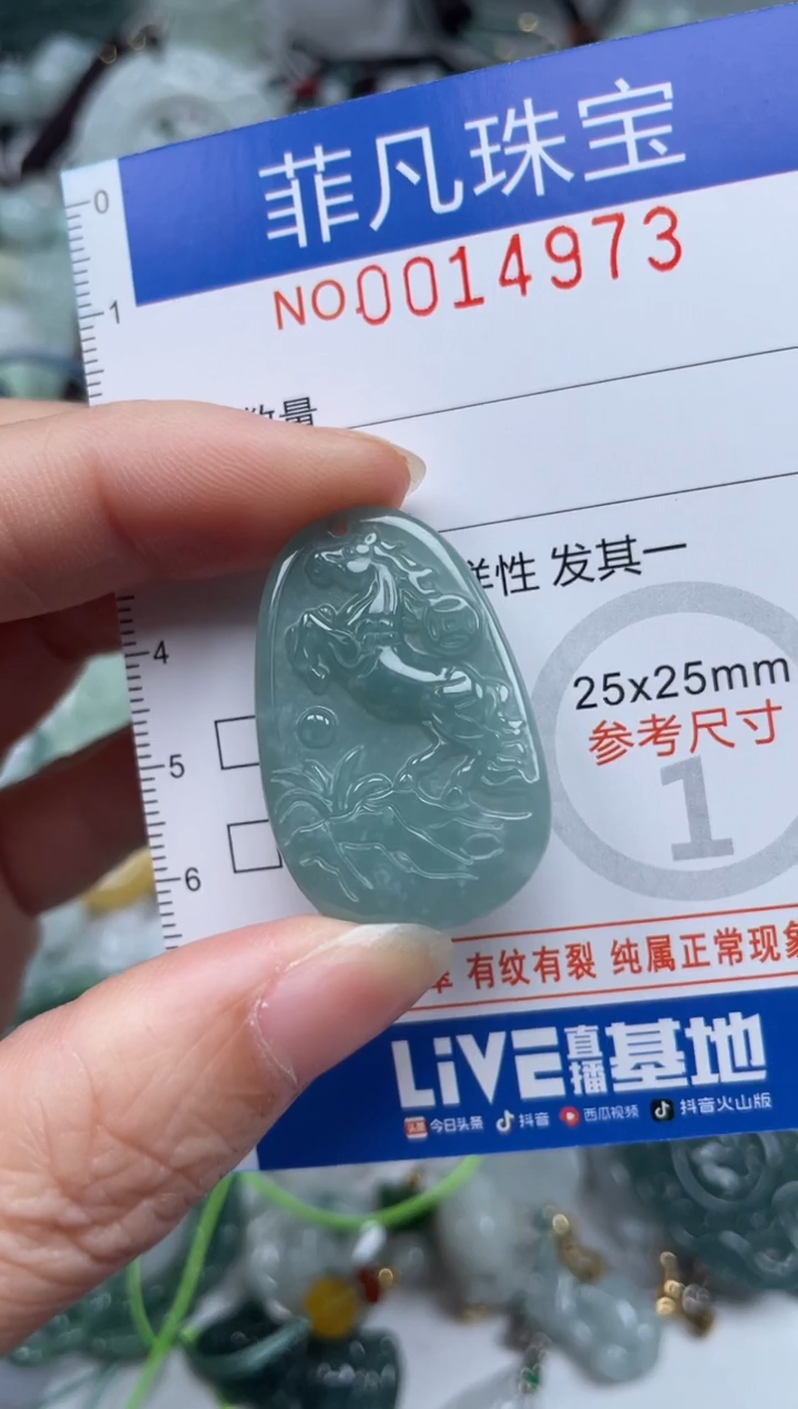 颈饰未镶嵌翡翠14973