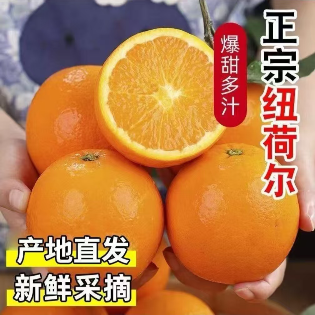 【中通包邮】秭归纽荷尔脐橙当季现摘新鲜水果化渣爆汁橙子