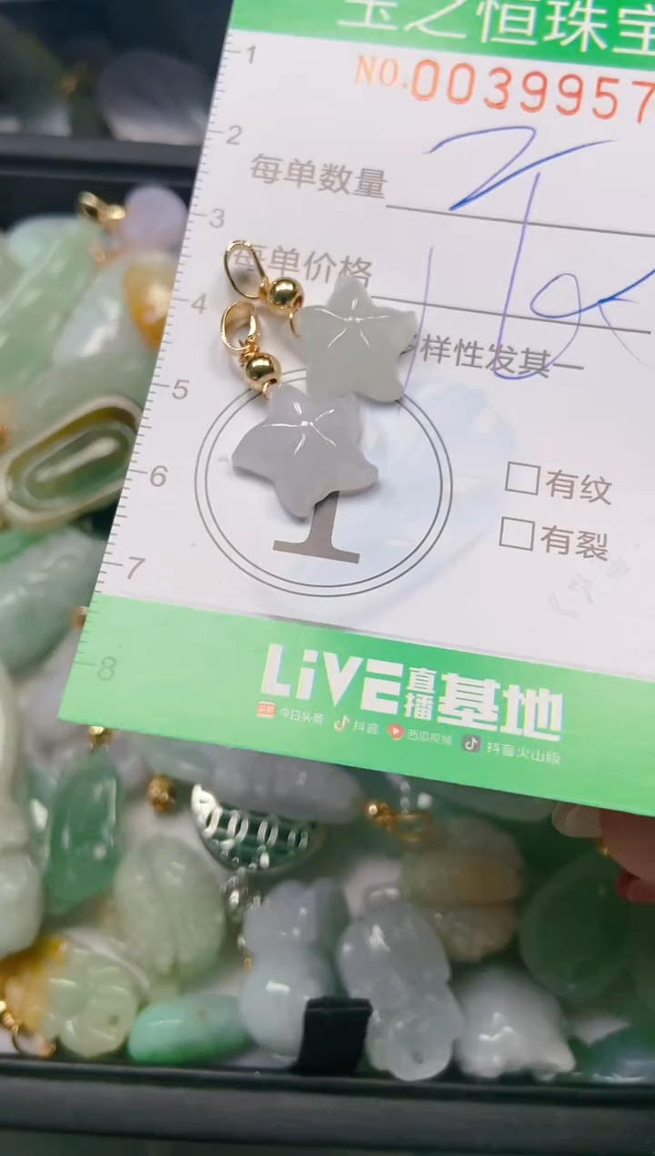 【闪购商品】翡翠颈饰未镶嵌闪购0039957