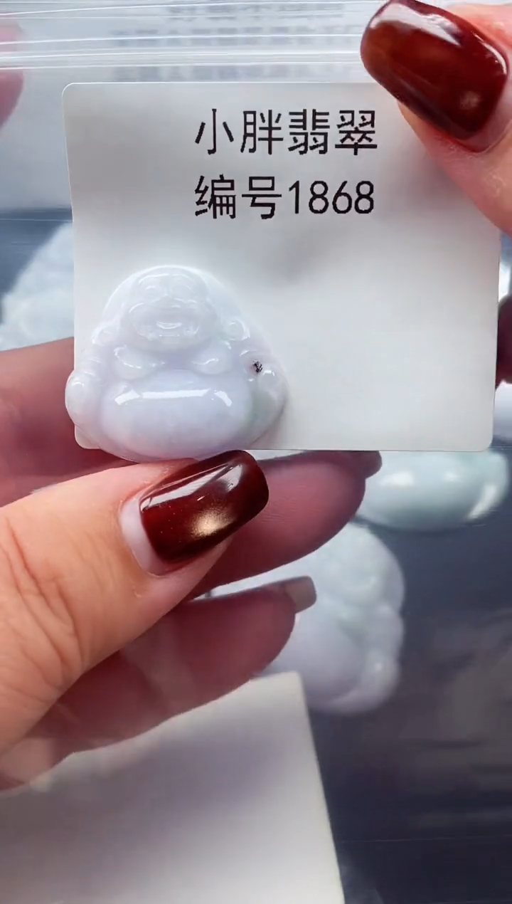 颈饰未镶嵌翡翠缅甸天然A货翡翠1868