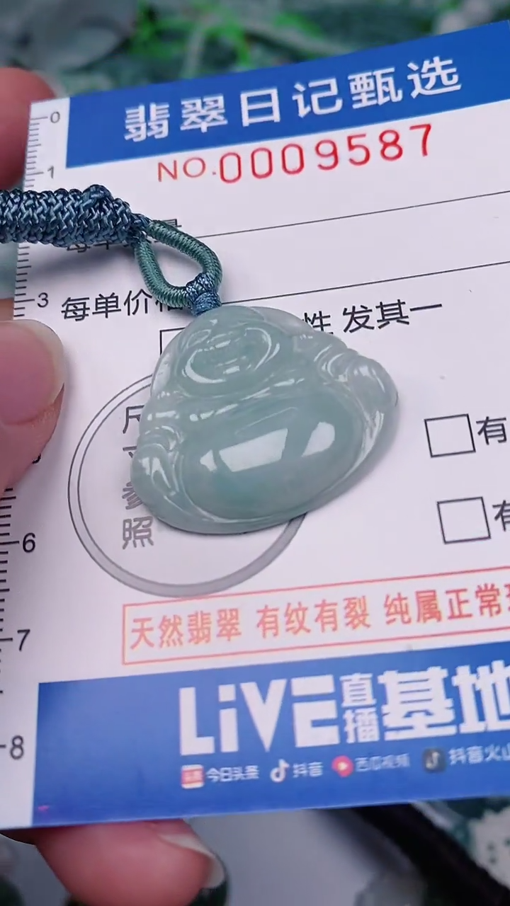 【闪购商品】翡翠颈饰未镶嵌00009587