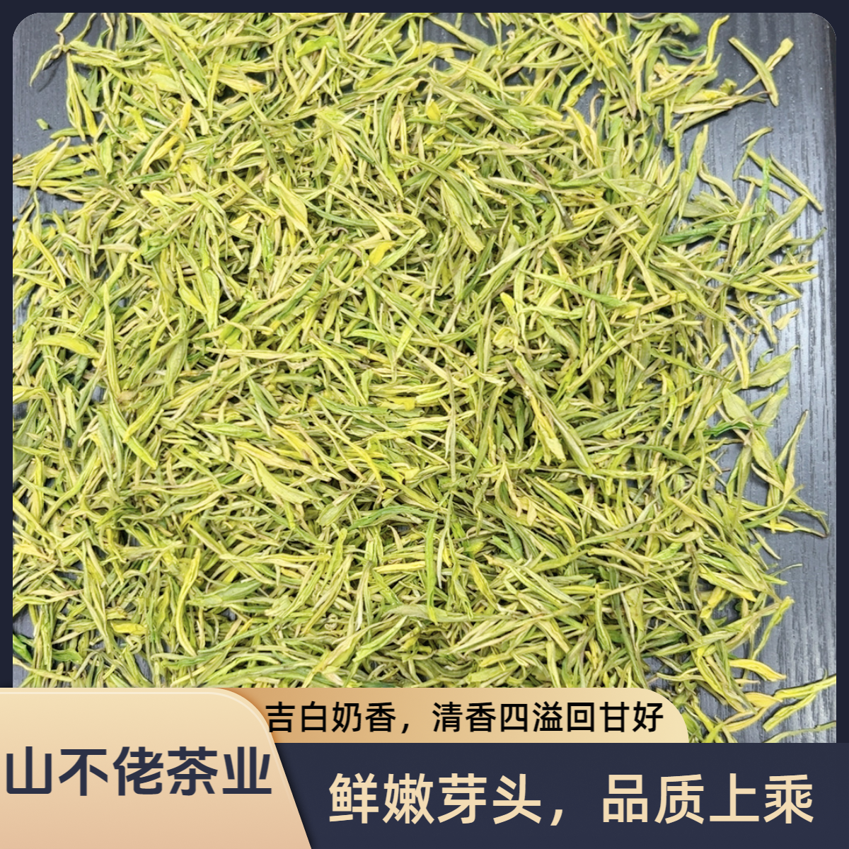 『吉白奶香白』2025新茶原产地奶香果香味