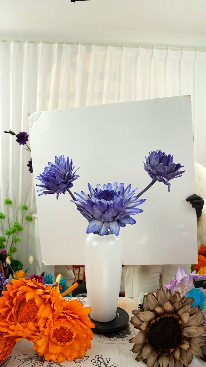 永生洋蓟 霸王花3 个头叶片有伤【紫色】A20