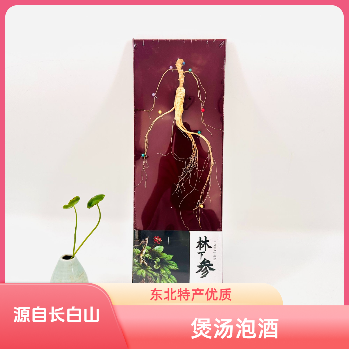 益合东北特产长白山林下参适合煲汤泡茶泡酒