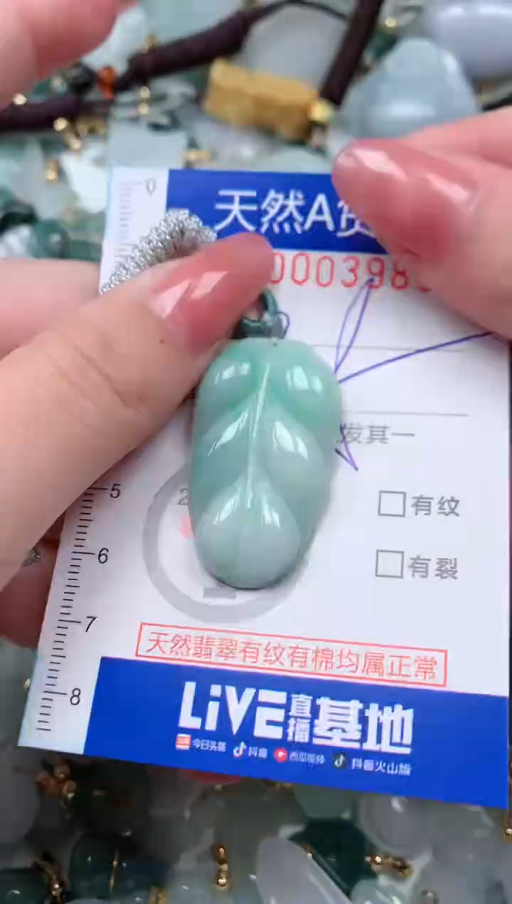 【闪购商品】翡翠颈饰未镶嵌00003983