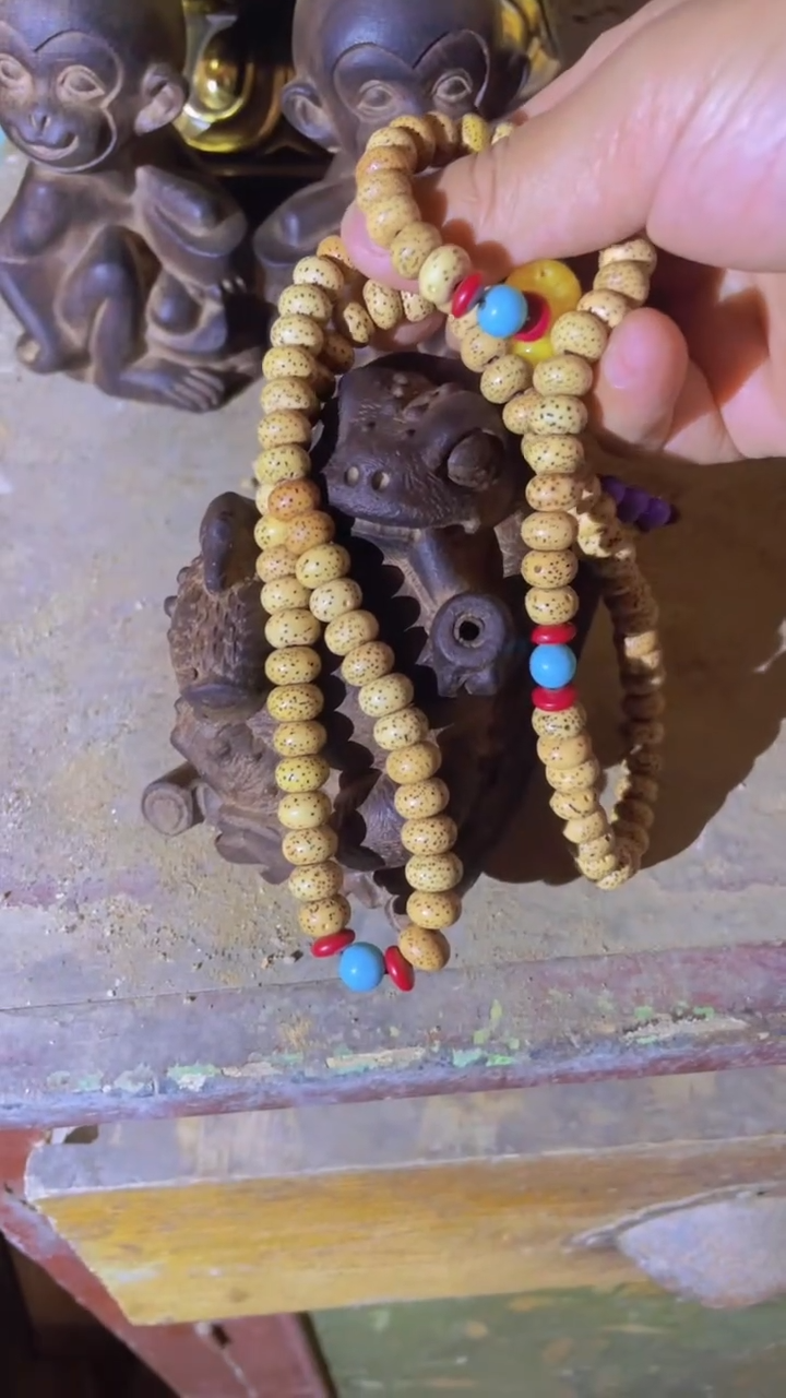 【闪购商品】菩提根/象牙果吊坠精品好物 好物菩提