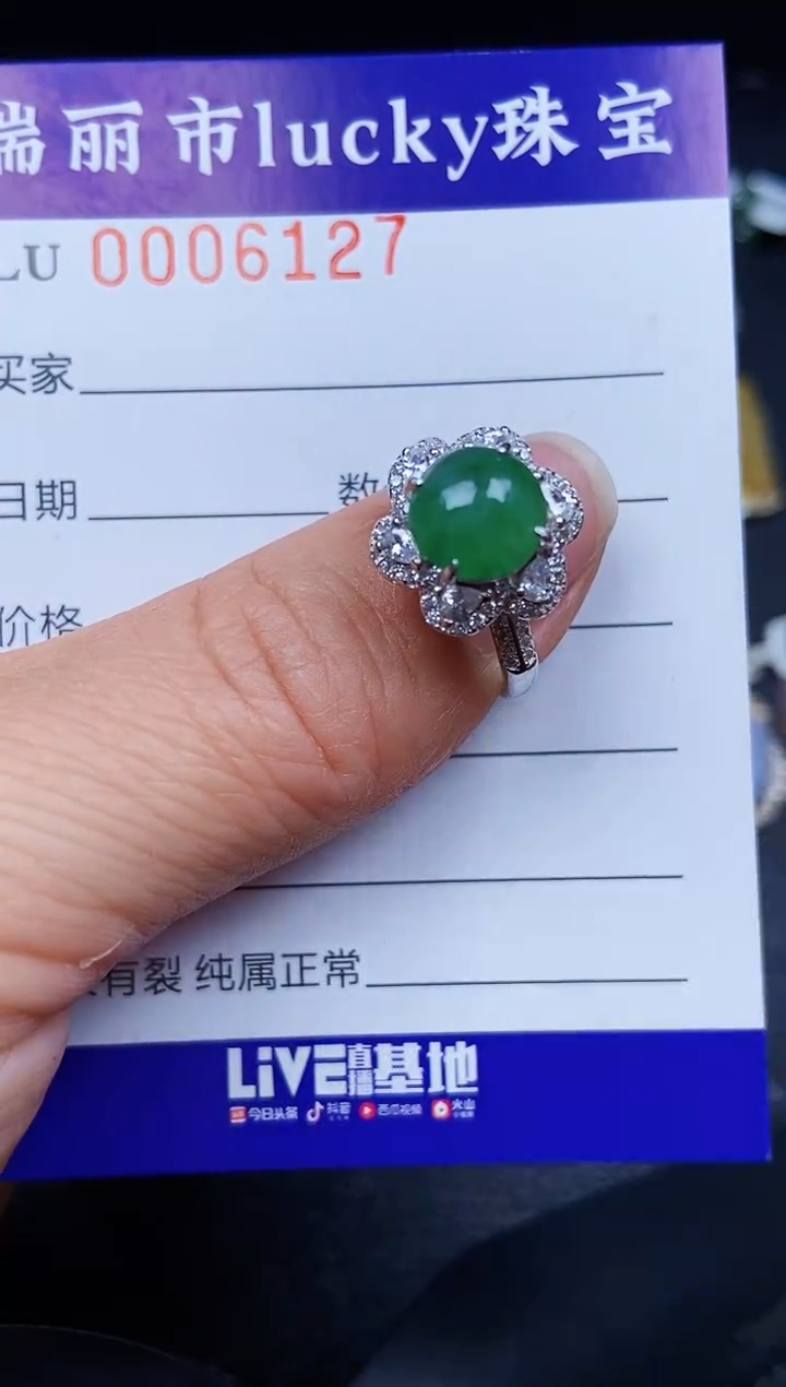 翡翠银S925镶嵌颈饰6127