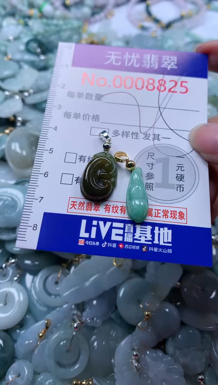 翡翠未镶嵌吊坠(不含链)8825