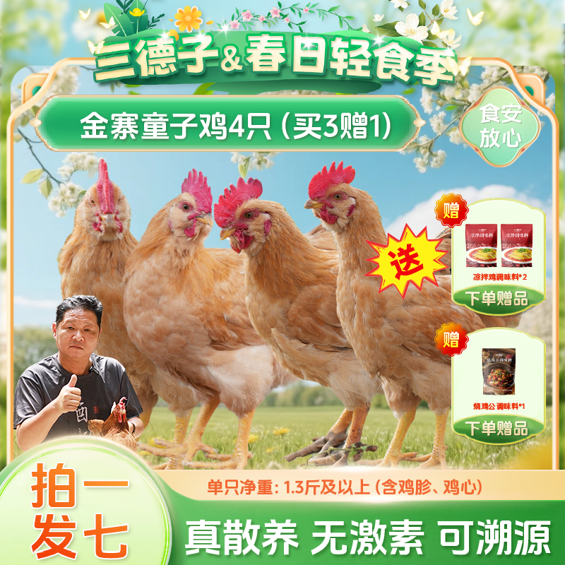 三德子【金寨童子鸡买3赠1】山地散养土鸡清蒸白切鸡仔公鸡安徽发货商品图