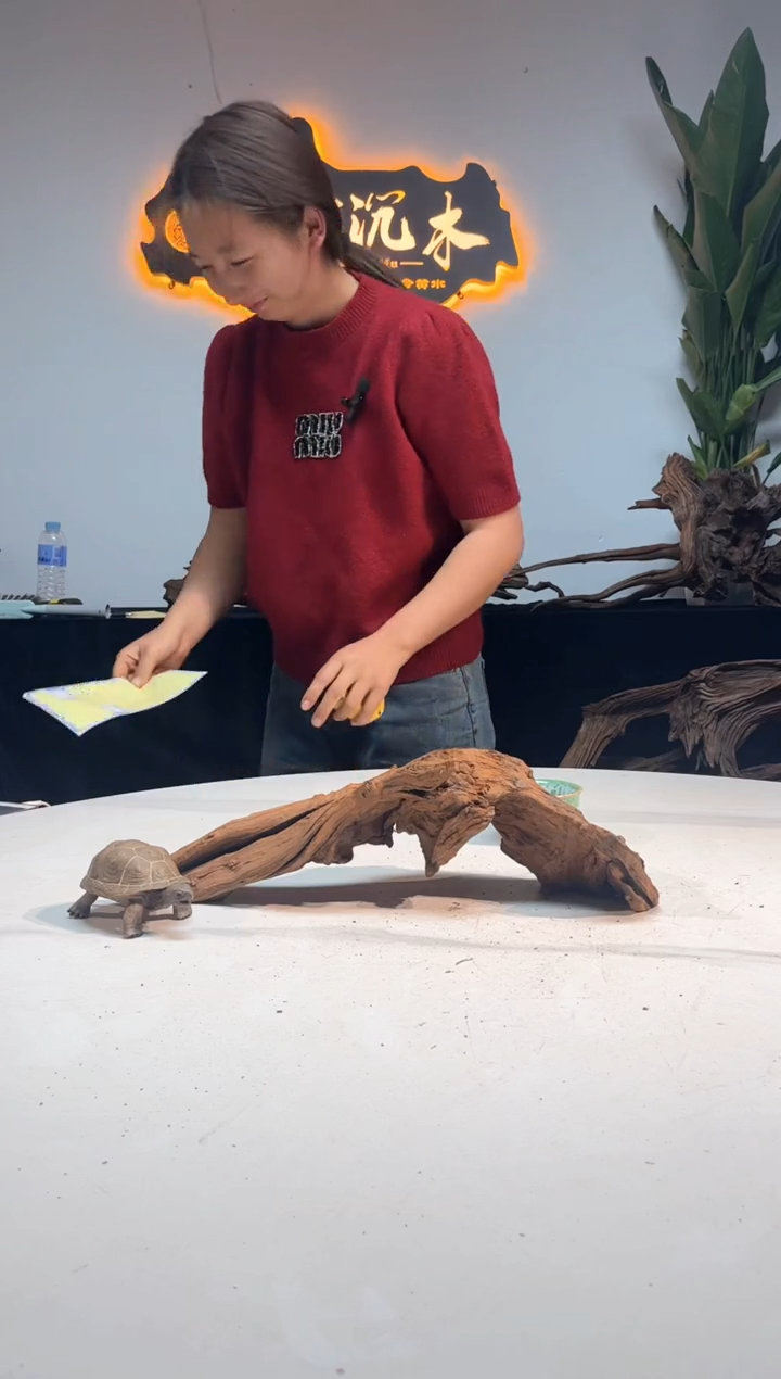 【闪购商品】柚木木雕一物一拍6
