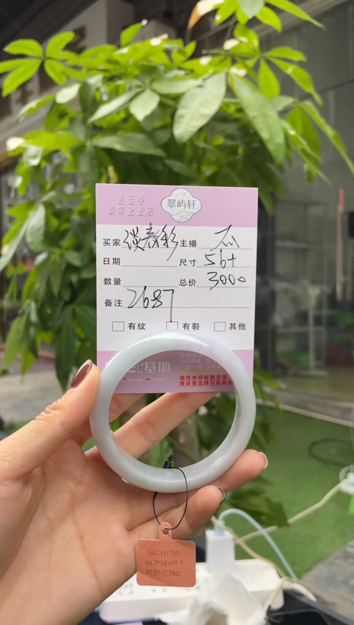 未镶嵌手镯翡翠G 56正圈 2687