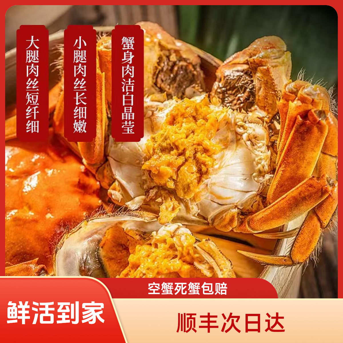 宠粉福利【大活蟹】【全母蟹】到手30只20只送10只盘锦河蟹海鲜 1-0.8两/只 【顺丰明天到】死蟹按只赔