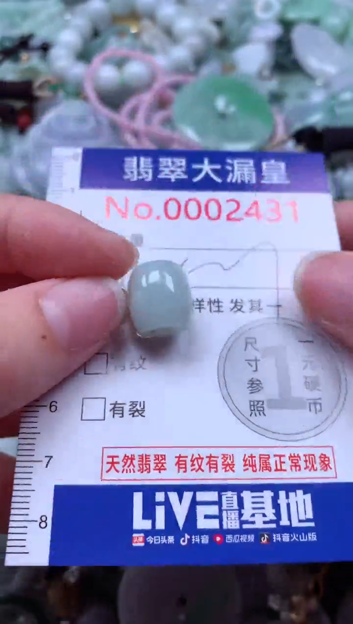 翡翠未镶嵌吊坠(不含链)2431