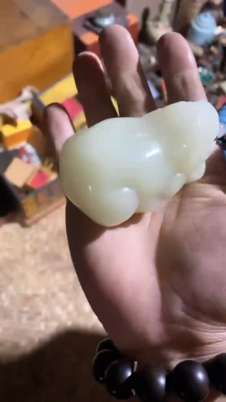 【闪购商品】贝壳手串/手链97啊啊啊啊啊啊啊啊啊啊啊阿
