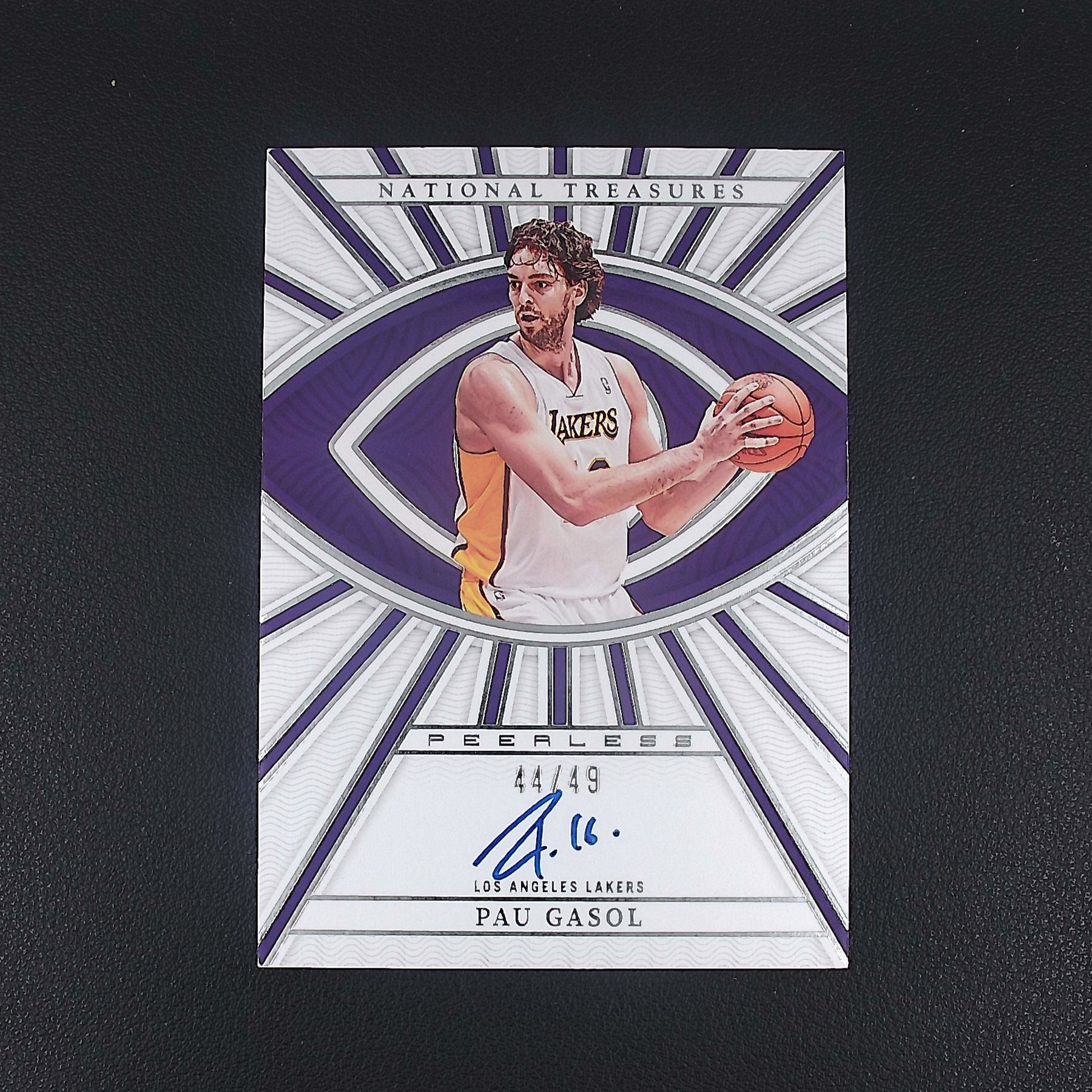 保罗加索尔 49编 国宝 帕尼尼NBA国宝手提签字球星卡