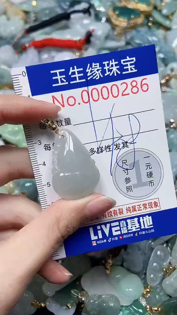 【闪购商品】翡翠颈饰未镶嵌闪购00000286