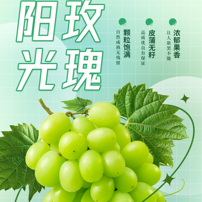 精品阳光玫瑰葡萄阳光玫瑰青提500g葡萄同城送云南省