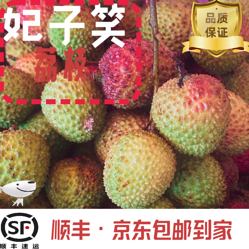 【老板娘专属妃子笑】顺丰冷链 包邮到家 现摘现发