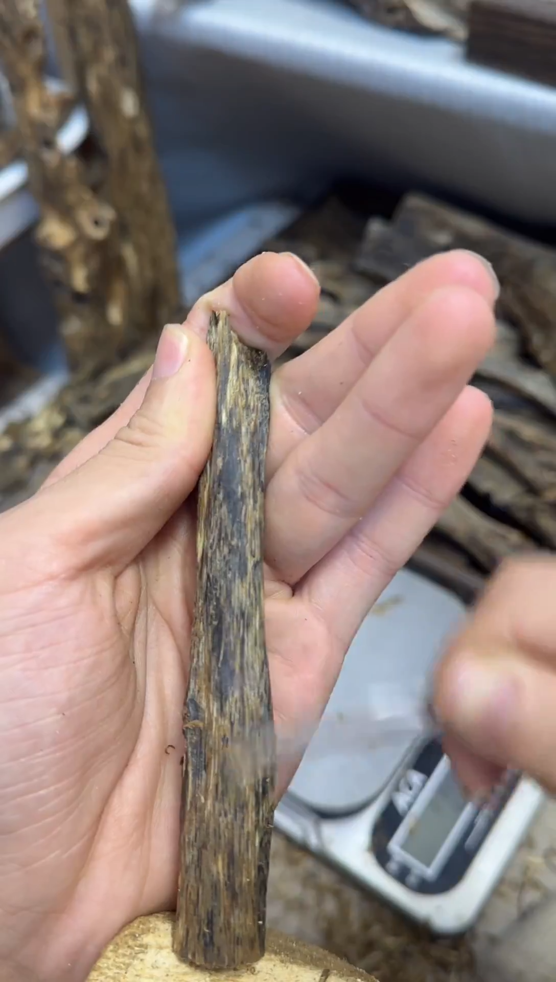 沉香沉香碎屑九九沉水树心油白棋黑油