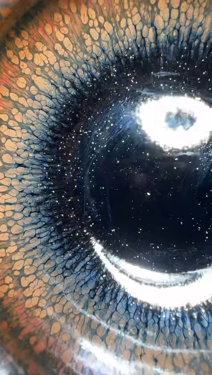 【闪购商品】茶盏十一目大通天窑孔夫寺精品场127