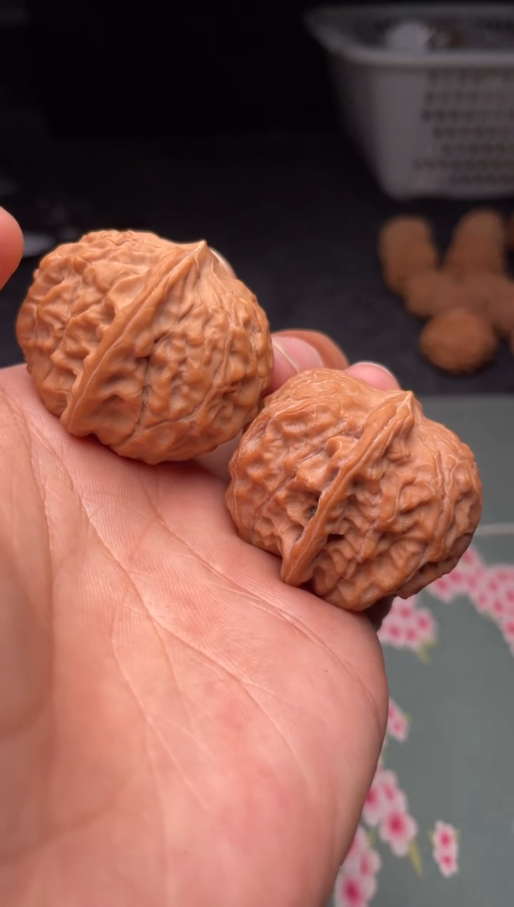 把件文玩核桃a318   龙洞玉    38尺