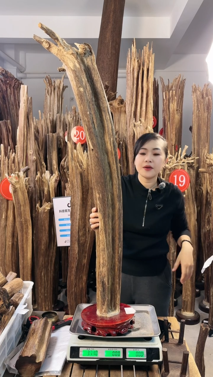 【闪购商品】沉香摆件沉香摆件多样性发一件98