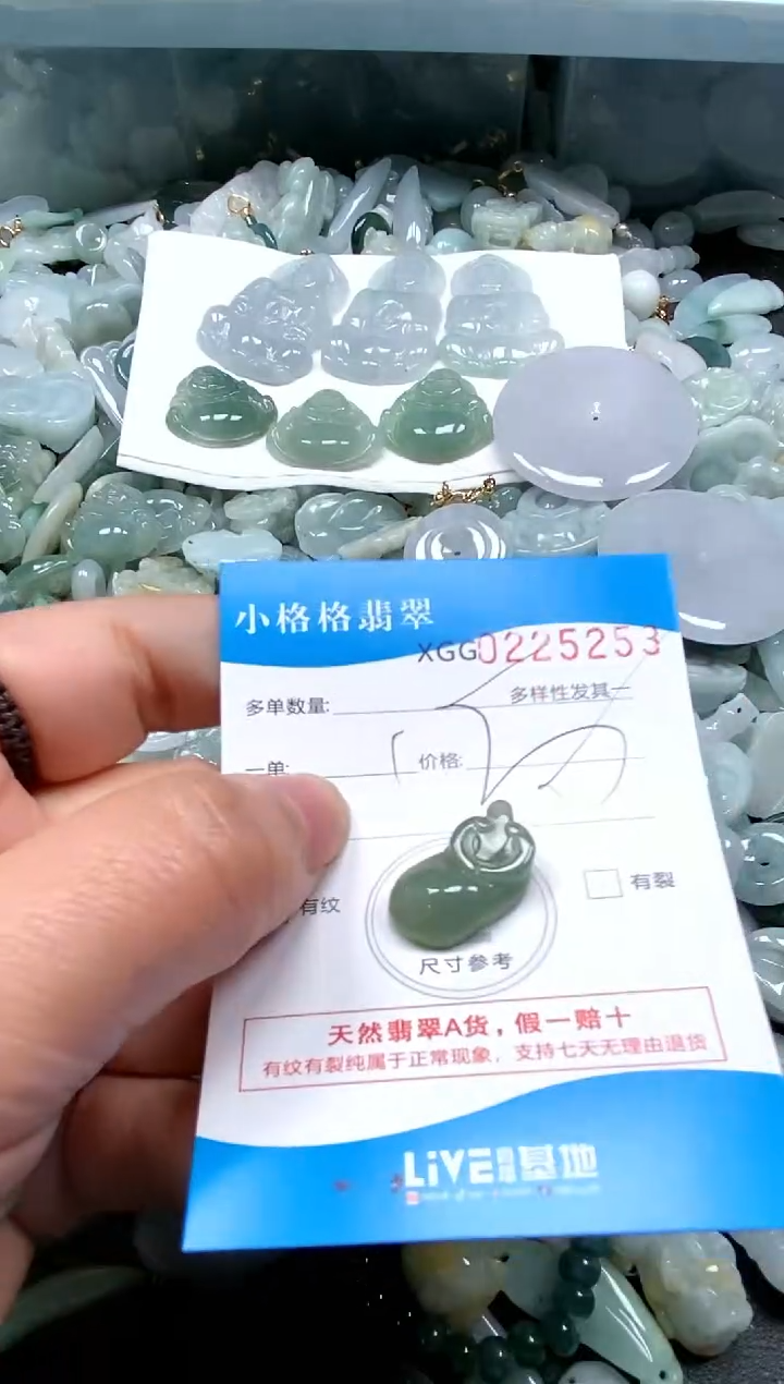 【闪购商品】翡翠颈饰未镶嵌闪购商品0225253