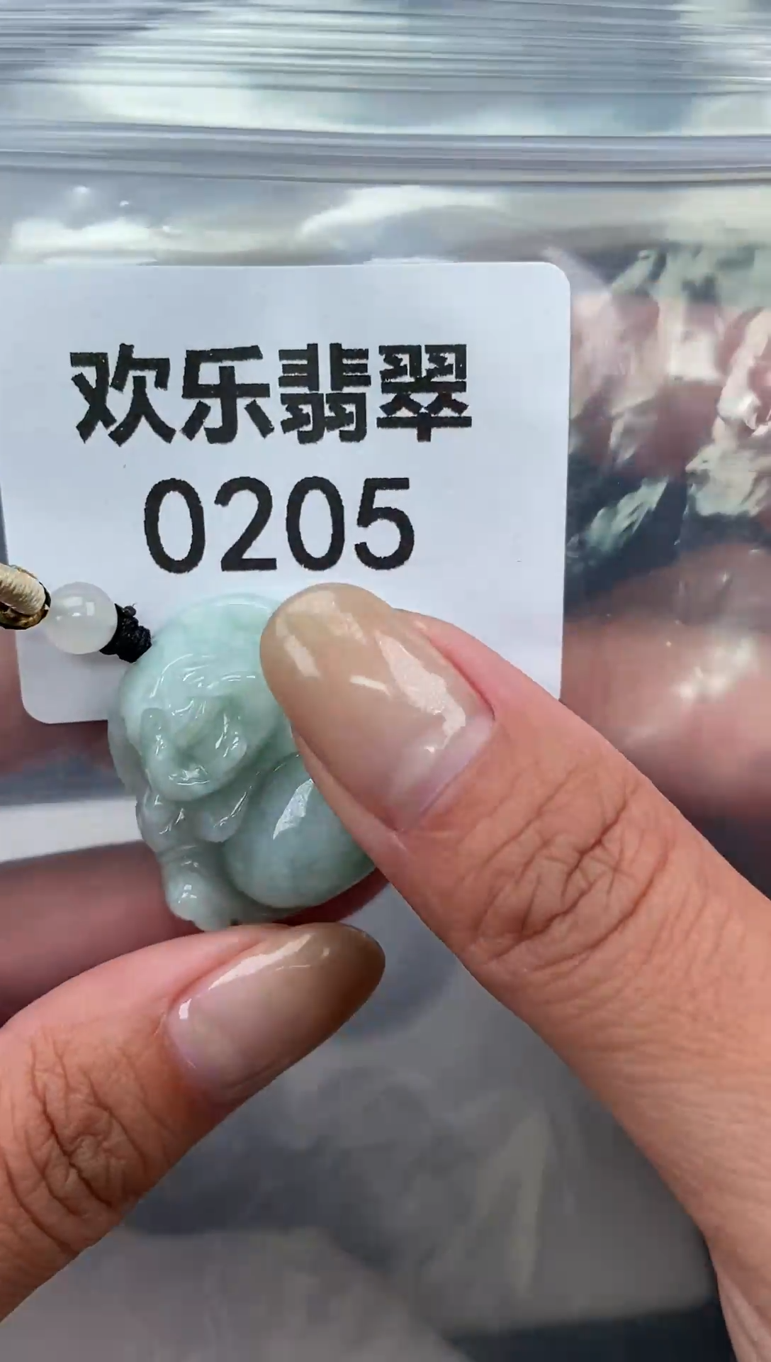 颈饰未镶嵌翡翠缅甸天然翡翠0205
