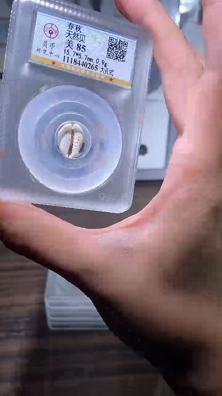 【闪购商品】铜历代 天然贝一枚