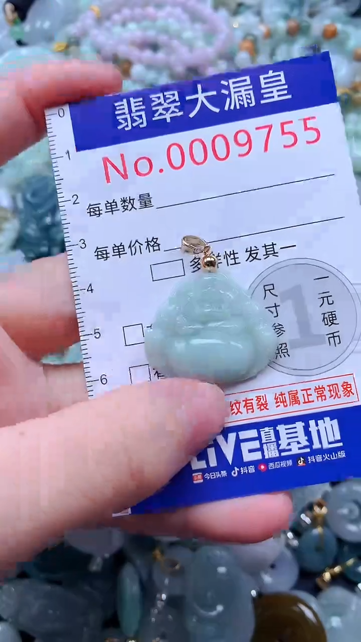 翡翠未镶嵌吊坠(不含链)9755