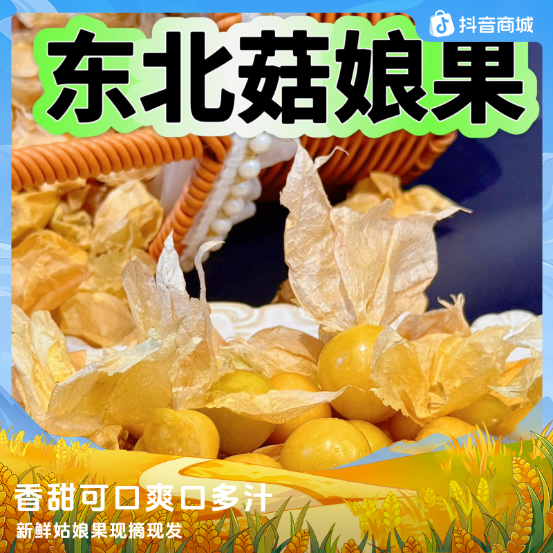 东北特产姑娘果灯笼果新鲜露天采摘香甜可口应季黑龙江菇娘果