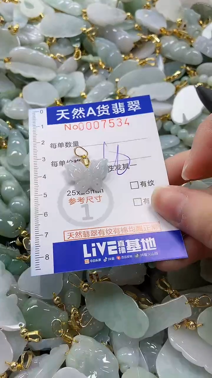 颈饰未镶嵌翡翠纯天然a货翡翠