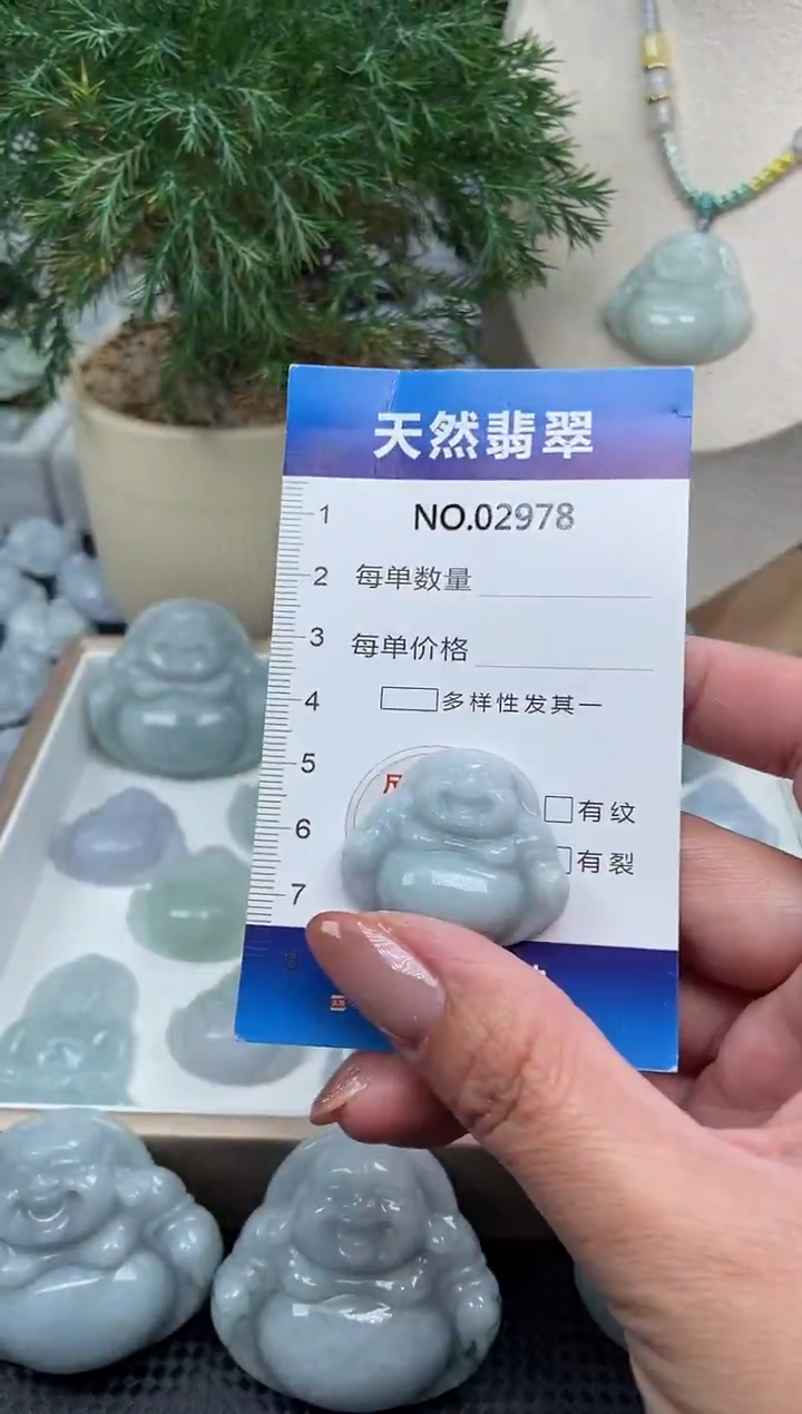 颈饰未镶嵌翡翠纯天然A货翡翠2978
