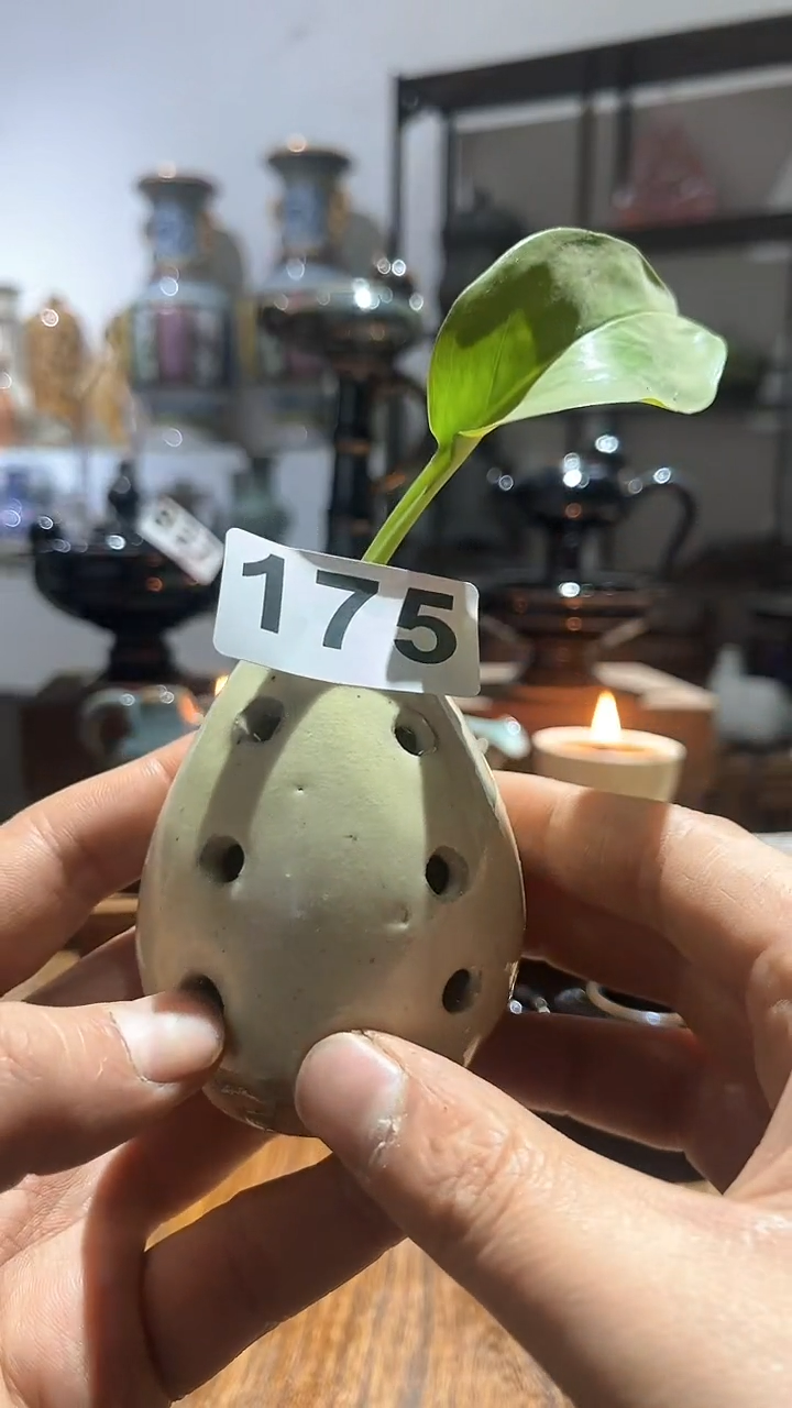 【闪购商品】摆件                