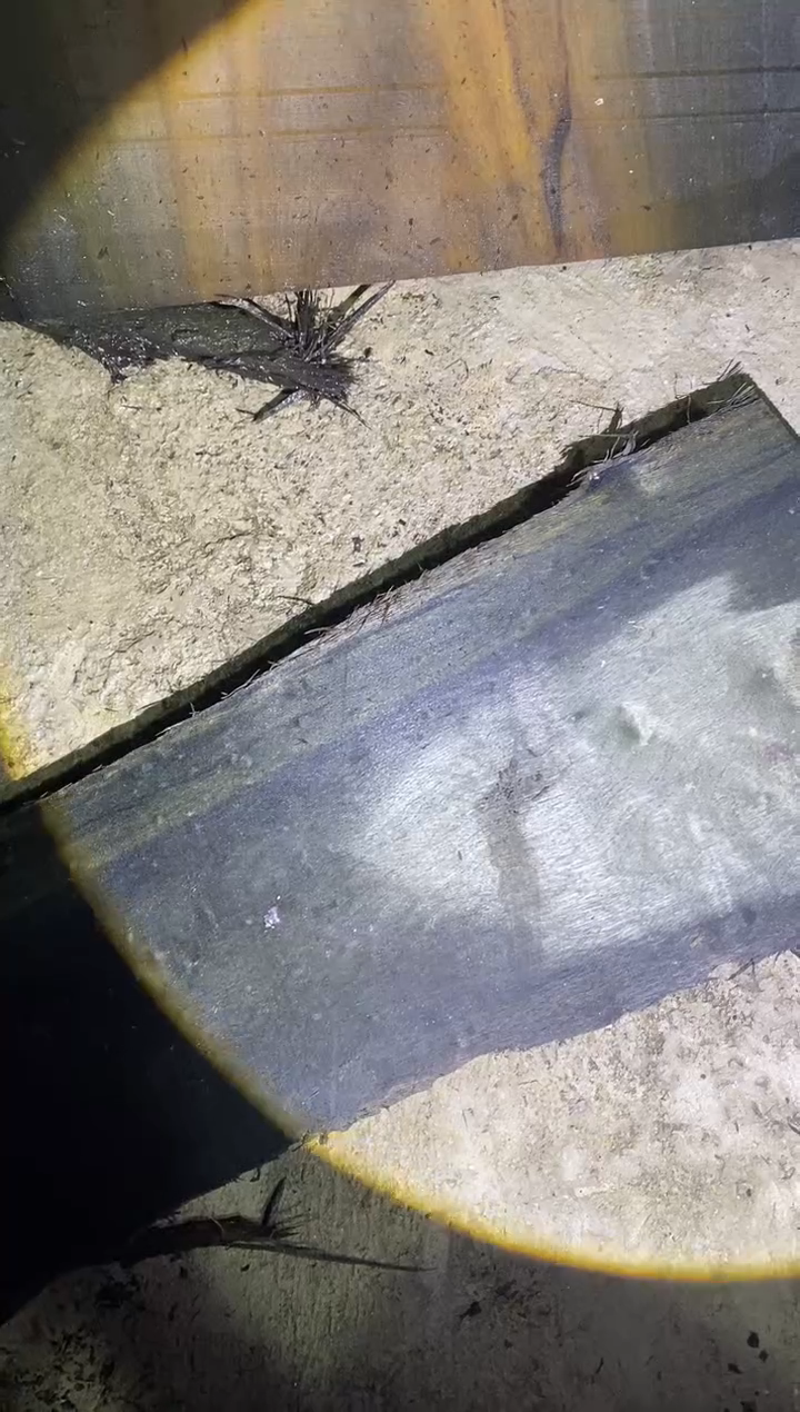 桃*村金丝楠木原料木材