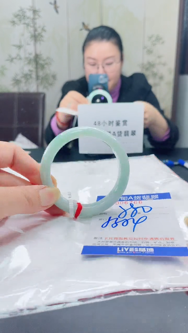未镶嵌手镯翡翠7