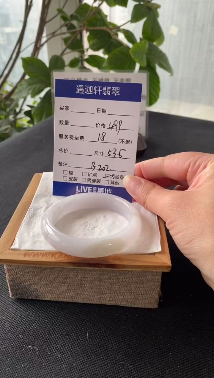 【闪购商品】翡翠手镯未镶嵌53.5圈口 B202编码