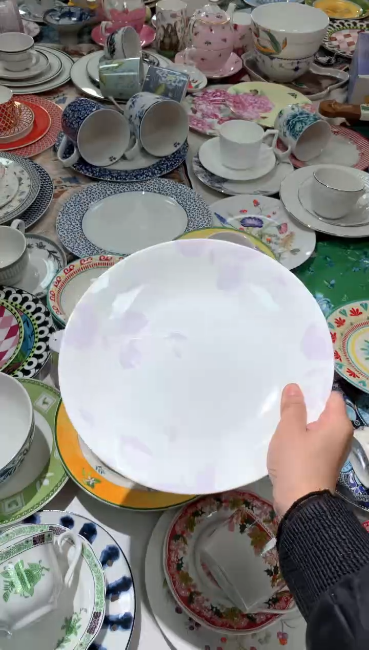 【闪购商品】瓷片CC678陶瓷没有完美无瑕陶瓷1个9寸